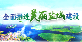 全面推進美麗鹽城建設專題